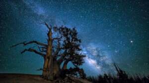 The Milky Way rises in a starry nighttime sky
