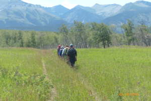 Volunteers heading to a research site