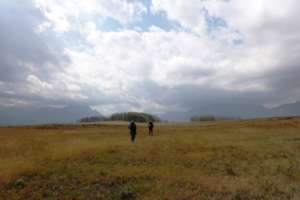 Volunteers head to a research site to collect data