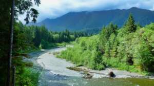 Rugged Pacific northwest landscape