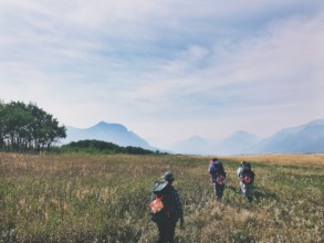 Volunteers head to a research site to collect data