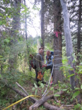 Volunteers measure vegetation in a research plot