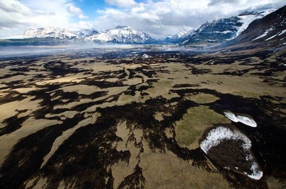 Restoring Fire, Wolves, and Elk in the Rockies