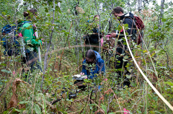 Restoring Fire, Wolves, and Elk in the Rockies