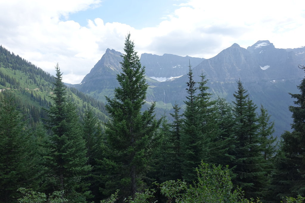Restoring Fire, Wolves, and Elk in the Rockies