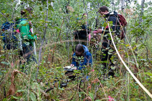 Volunteers measure aspen tree growth
