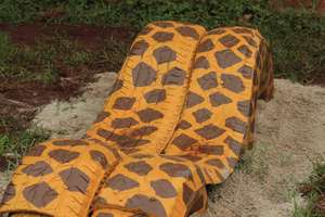 Wish 4: Giraffe tire obstacle