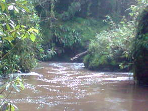 river nzoia