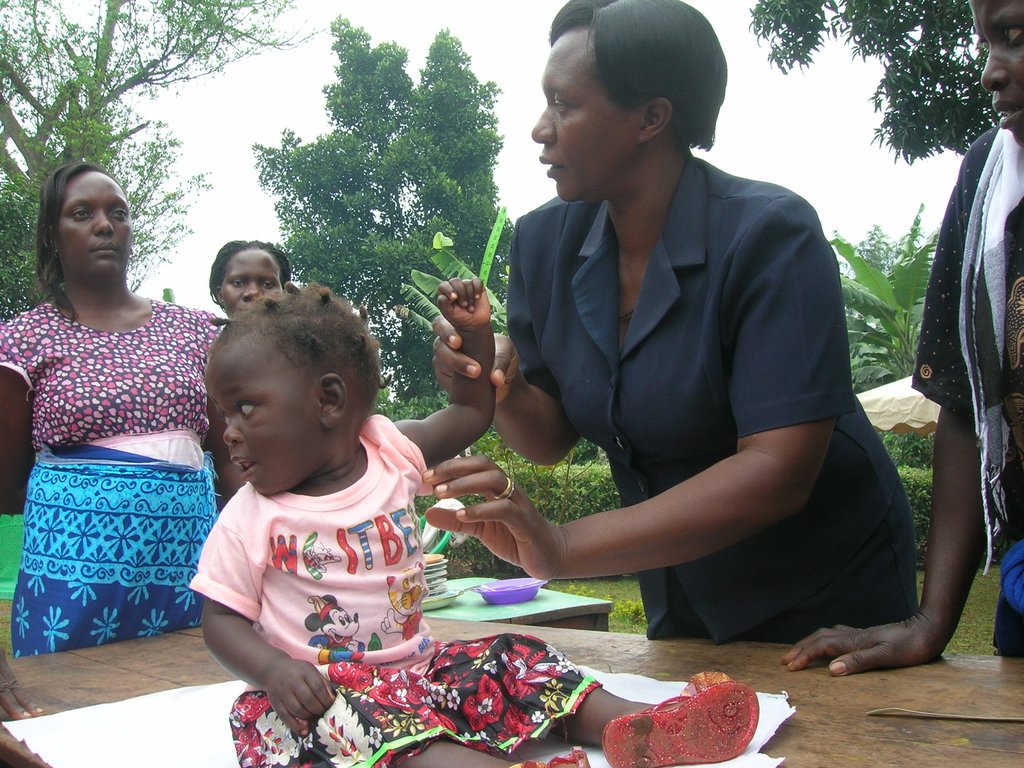 Provide fruit trees to 25 households in Uganda