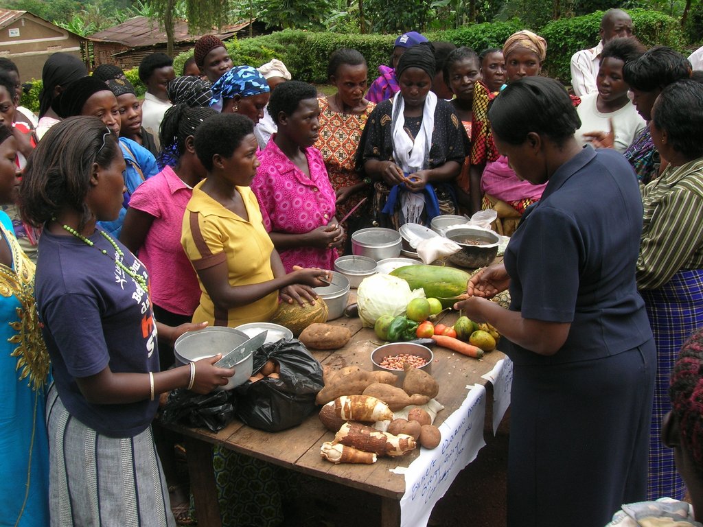 Provide fruit trees to 25 households in Uganda