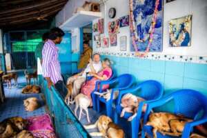 Older photo..I thought the chairs were for us.