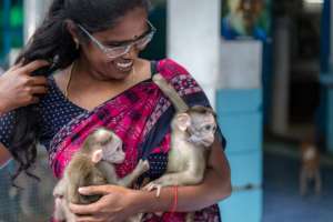 Suguna's their mommy. They eat every two hours.