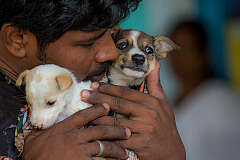 Welcome to our beloved Shelter!