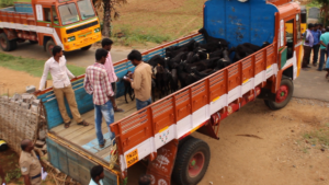 Lorry Number Two set. Police confirming count.