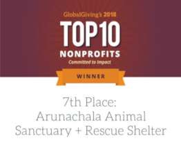 Honored by Global Giving in 2018--7th out of 4000.