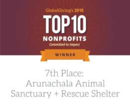 Honored by Global Giving in 2018..7th out of 4000.
