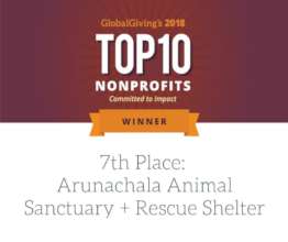 Honored by Global Giving in 2018--7th out of 4000.