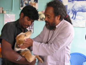 Mooji, Vishwa, and lucky Bhakti