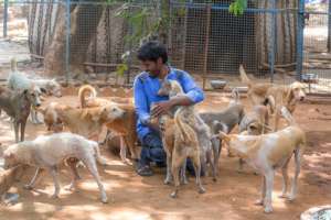 They simply love Vishwa...All the animals do.
