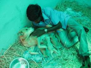 Ramesh, and some Young Ones.