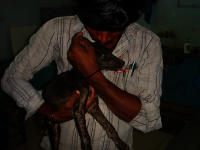 So many have been thru so much.