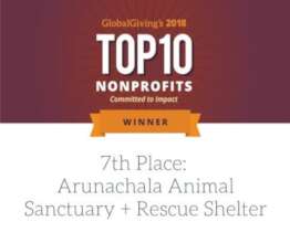 Honored by GlobalGiving in 2018..7th out of 4000..