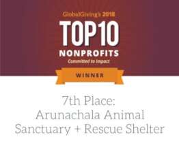 Honored by GlobalGiving in 2018-Out of 4000 NGO's.