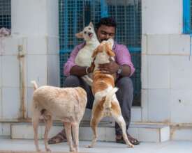 Welcome to our beloved Shelter!