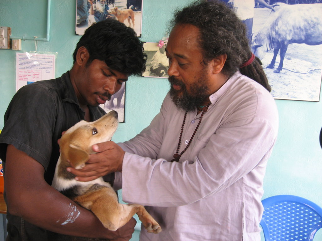Rescue,Love,Save-1000's of Suffering Animals.India