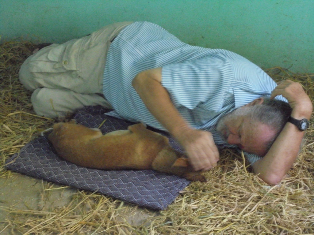 Rescue,Love,Save-1000's of Suffering Animals.India