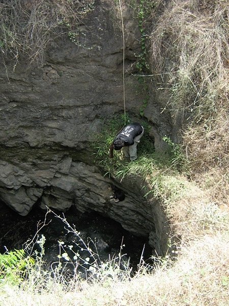 Rescue,Love,Save-1000's of Suffering Animals.India