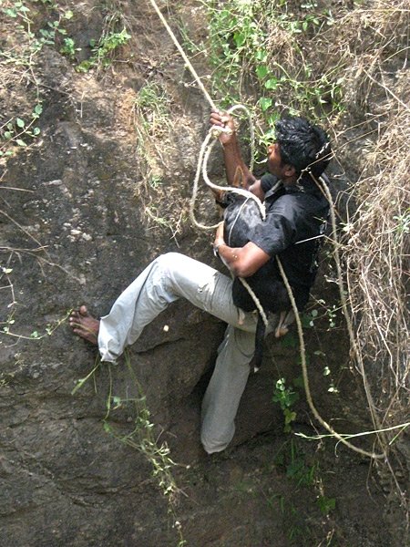 Rescue,Love,Save-1000's of Suffering Animals.India