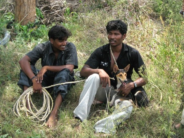 Rescue,Love,Save-1000's of Suffering Animals.India