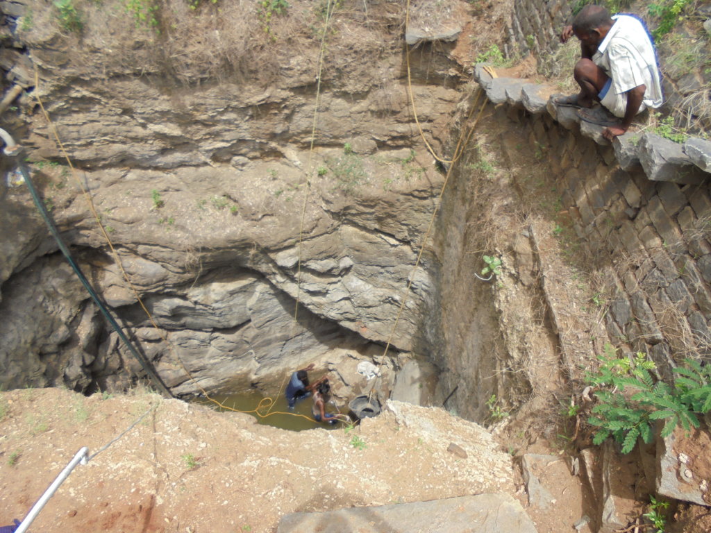 Rescue,Love,Save-1000's of Suffering Animals.India