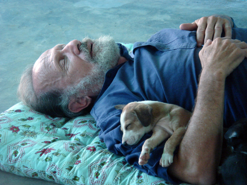 Rescue,Love,Save-1000's of Suffering Animals.India