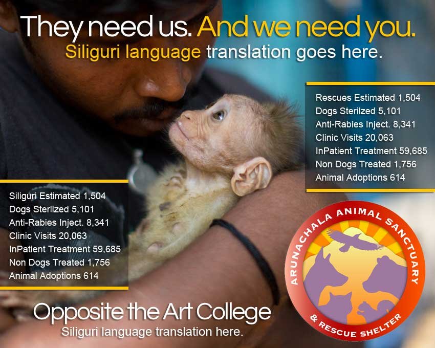 Rescue,Love,Save-1000's of Suffering Animals.India