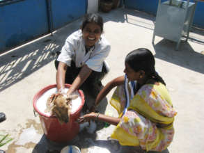 Dr. Pushpa giving a good ole' bucket bath.
