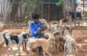 Rescue,Love,Save-1000's of Suffering Animals.India