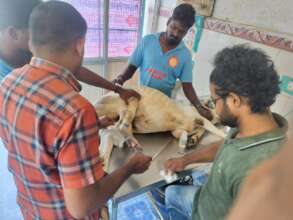 Dr.Raja and Dr.Mahesh  with "accident rescue".