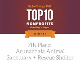 We were honored by Global Giving in 2018.