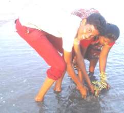 In tree plantation work