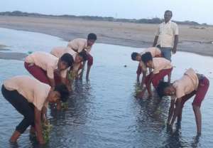A group of student involving in wetland promotion