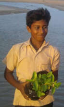sapling is planted by a student