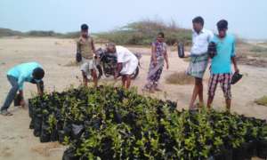Our nursery promotion works