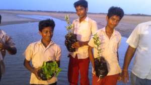 A group of students in tree planting