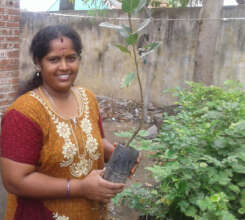 one woman involving nursery promotion