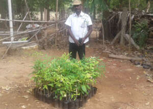 Chairman involving in nursery works