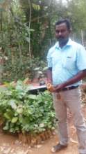 staff involving in saplings qualtiy testing