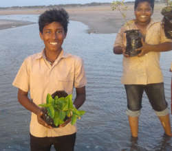 Students in planting tree