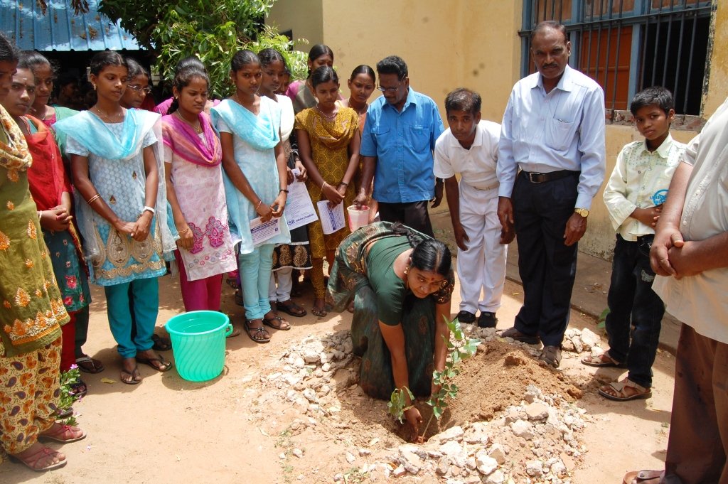Plant a Tree - Save the Earth
